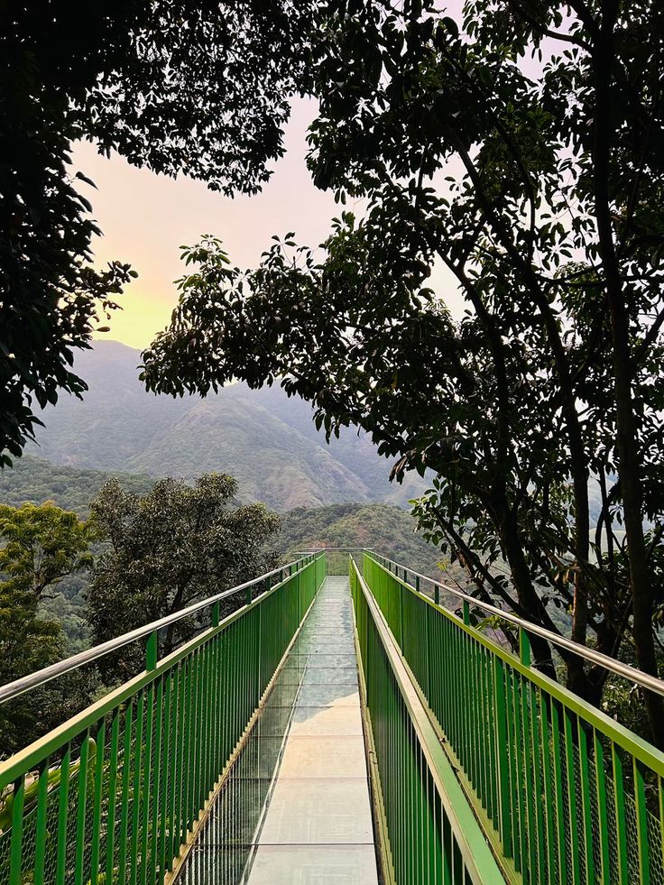 Wayanad Detail View 3